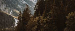 Preview wallpaper lake, spruce, mountains, trees, forest, fog