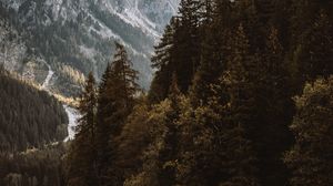 Preview wallpaper lake, spruce, mountains, trees, forest, fog