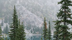 Preview wallpaper lake, spruce, rocks, mountains, fog