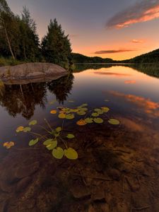 Preview wallpaper lake, spruce, trees, stone, sunset, plants