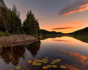 Preview wallpaper lake, spruce, trees, stone, sunset, plants