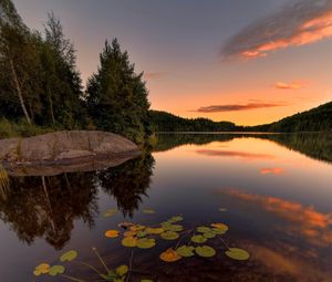 Preview wallpaper lake, spruce, trees, stone, sunset, plants