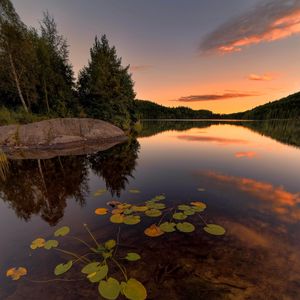 Preview wallpaper lake, spruce, trees, stone, sunset, plants