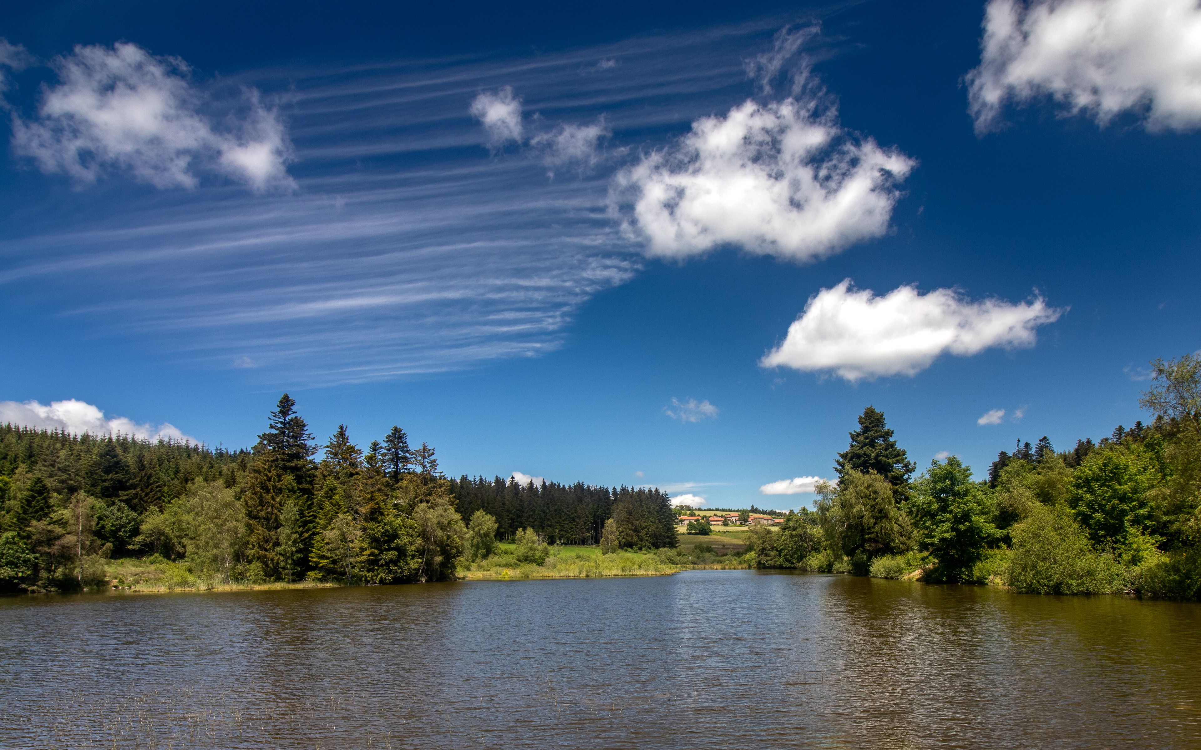 Download wallpaper 3840x2400 lake, spruce, trees, sky, clouds 4k ultra ...