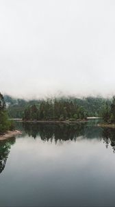 Preview wallpaper lake, spruce, trees, fog, reflection