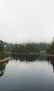 Preview wallpaper lake, spruce, trees, fog, reflection
