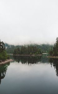 Preview wallpaper lake, spruce, trees, fog, reflection