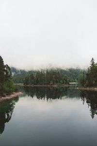 Preview wallpaper lake, spruce, trees, fog, reflection