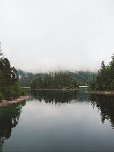 Preview wallpaper lake, spruce, trees, fog, reflection