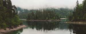 Preview wallpaper lake, spruce, trees, fog, reflection