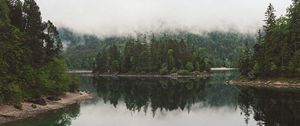 Preview wallpaper lake, spruce, trees, fog, reflection