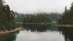 Preview wallpaper lake, spruce, trees, fog, reflection