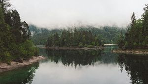 Preview wallpaper lake, spruce, trees, fog, reflection