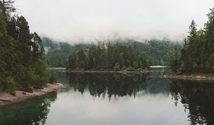 Preview wallpaper lake, spruce, trees, fog, reflection