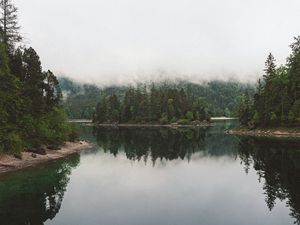 Preview wallpaper lake, spruce, trees, fog, reflection