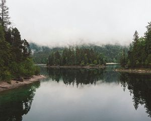 Preview wallpaper lake, spruce, trees, fog, reflection