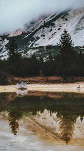 Preview wallpaper lake, spruce, trees, rocks, reflection