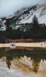Preview wallpaper lake, spruce, trees, rocks, reflection