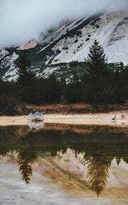 Preview wallpaper lake, spruce, trees, rocks, reflection