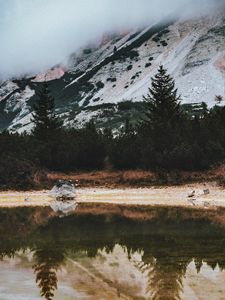 Preview wallpaper lake, spruce, trees, rocks, reflection