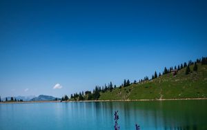 Preview wallpaper lake, stones, flowers, trees, shore