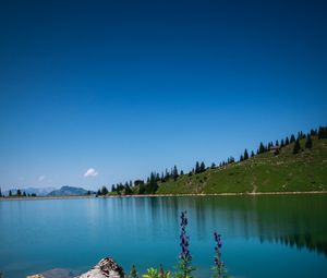 Preview wallpaper lake, stones, flowers, trees, shore