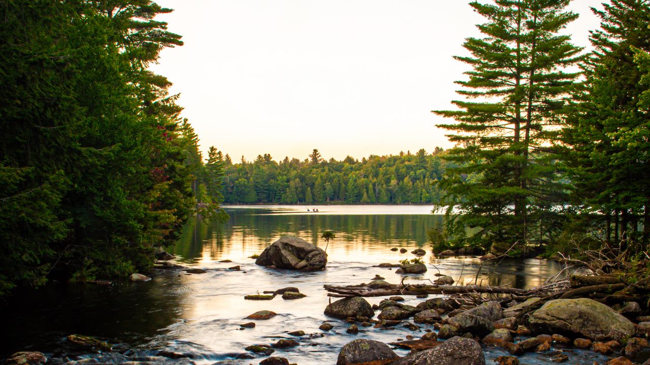 Wallpaper lake, stones, logs, trees, sky, nature