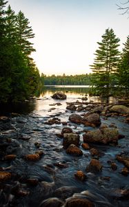 Preview wallpaper lake, stones, logs, trees, sky, nature