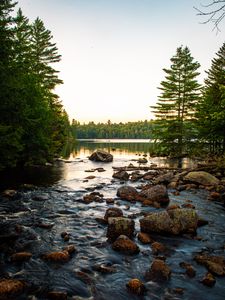 Preview wallpaper lake, stones, logs, trees, sky, nature