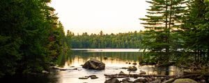 Preview wallpaper lake, stones, logs, trees, sky, nature