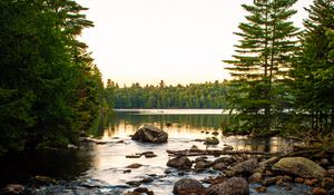 Preview wallpaper lake, stones, logs, trees, sky, nature