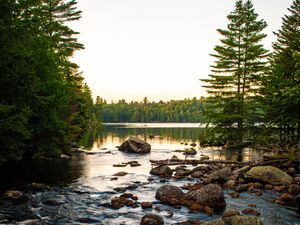 Preview wallpaper lake, stones, logs, trees, sky, nature