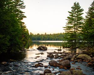 Preview wallpaper lake, stones, logs, trees, sky, nature