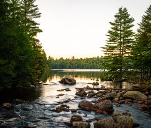 Preview wallpaper lake, stones, logs, trees, sky, nature