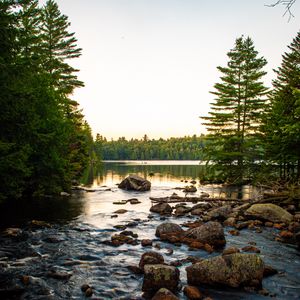 Preview wallpaper lake, stones, logs, trees, sky, nature