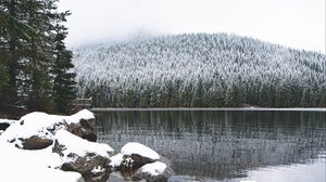 Preview wallpaper lake, stones, snow, forest, winter, landscape