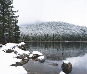 Preview wallpaper lake, stones, snow, forest, winter, landscape