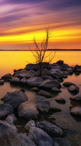 Preview wallpaper lake, stones, sunset, water, reflection, tree