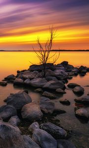 Preview wallpaper lake, stones, sunset, water, reflection, tree