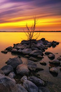 Preview wallpaper lake, stones, sunset, water, reflection, tree