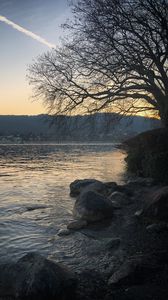 Preview wallpaper lake, stones, tree, branches, nature