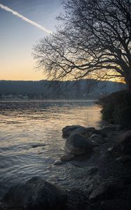 Preview wallpaper lake, stones, tree, branches, nature