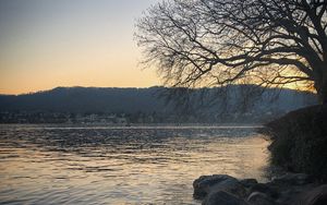 Preview wallpaper lake, stones, tree, branches, nature