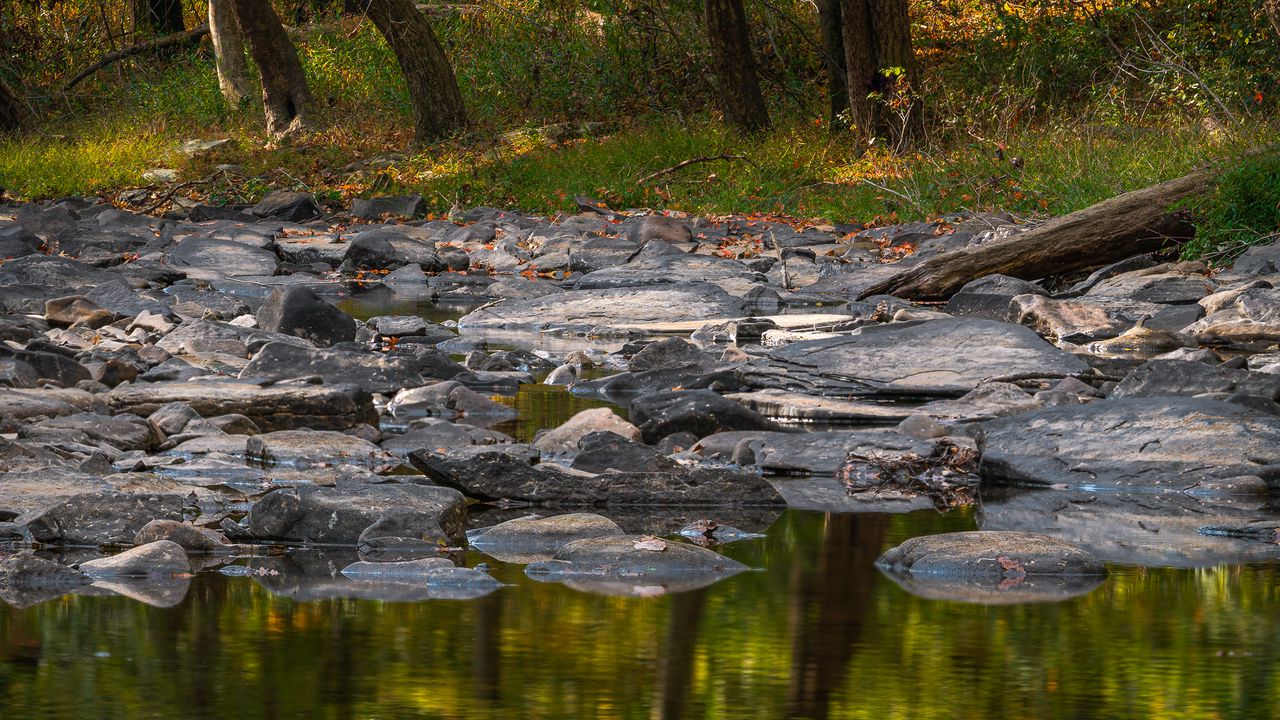 Wallpaper lake, stones, trees, shore, water