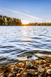 Preview wallpaper lake, stones, trees, sun, horizon