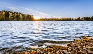Preview wallpaper lake, stones, trees, sun, horizon