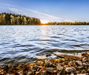 Preview wallpaper lake, stones, trees, sun, horizon