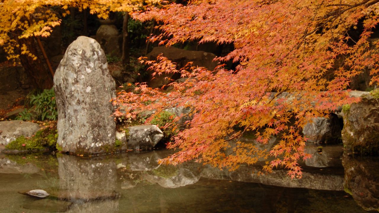 Wallpaper lake, stones, trees, autumn, yellow