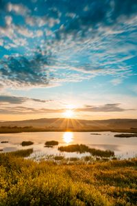 Preview wallpaper lake, sun, dawn, shore, landscape