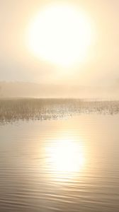 Preview wallpaper lake, sun, fog, trees